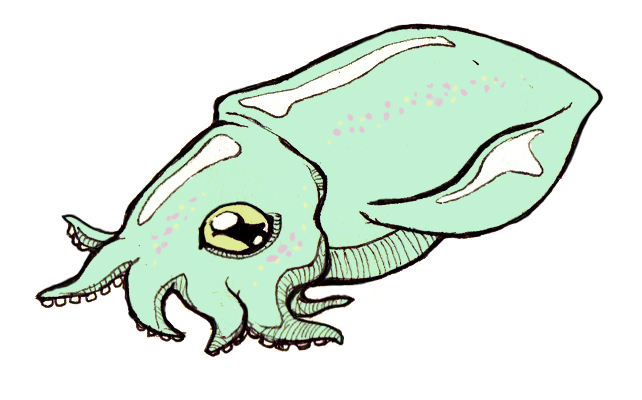 Cute Squid by Banvivirie on DeviantArt