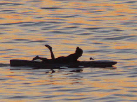 Sunset Paddling