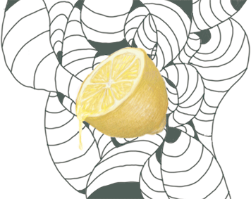 Lemon Yellow Deviantart LEMON by AnastaSilly on DeviantArt