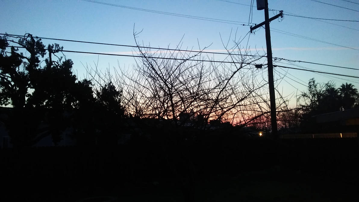 Beautiful Dawn by TomboyJessie13 on DeviantArt
