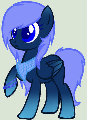 Contest Pony