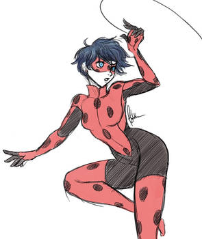 Adult Ladybug