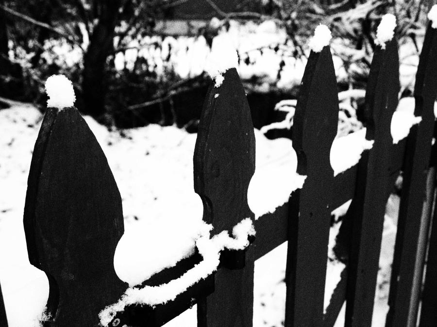 Snowy Fence