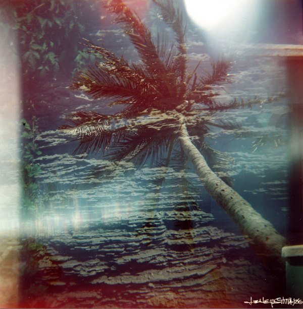 untitled bermuda 005