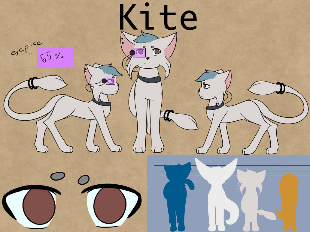 Kite Refrence Kites Reference sheet by Atemins on DeviantArt