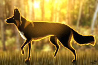 FRENCH TOUCH Whiskey Tango Foxtrot