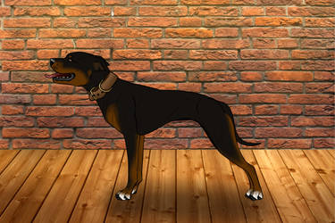 CAK Boar's God of War