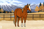 ACR's Dusty Dan