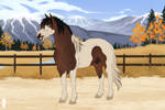 ACR's Jasper