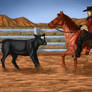 Lee and Tawny @ Cowboy Classic- Cutting