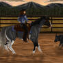 Elijah and Rush Cow Work @ DAR Futurity Show