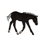 Lineaged Thoroughbred SOLD