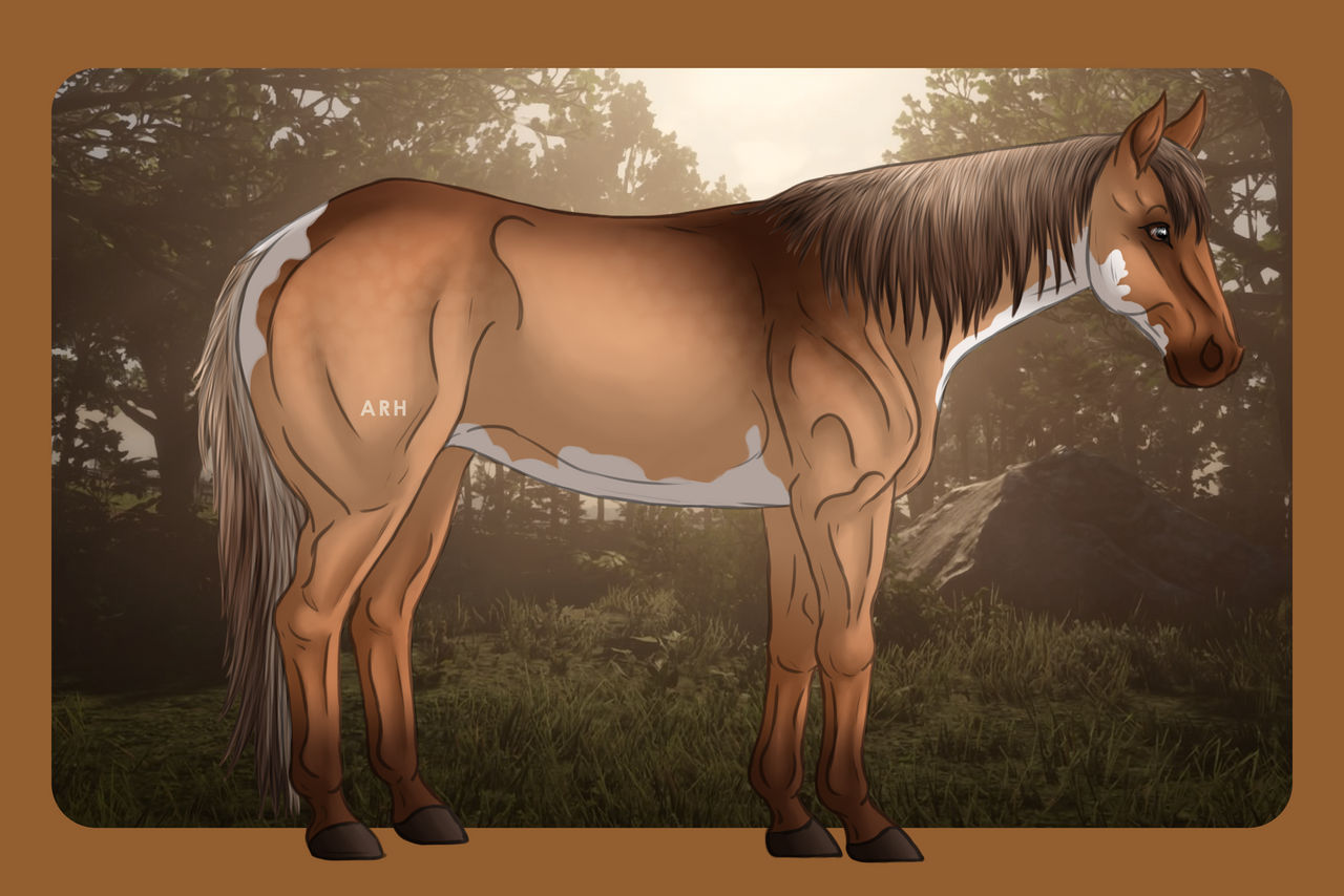 ID# 220 GVR's Sydney SOLD