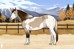 Yuma's Quick Draw Outlaw