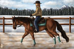 Rocky Mountain Reining