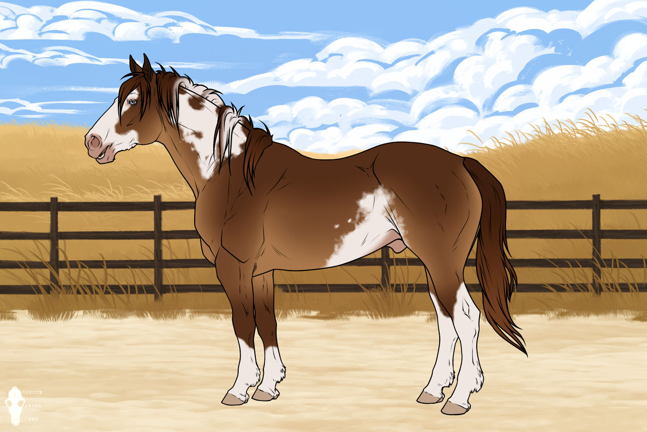 GVR's Calgary Round Up