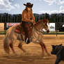 Russ and Coyote Cutting @ WHA Rodeo in the Rockies