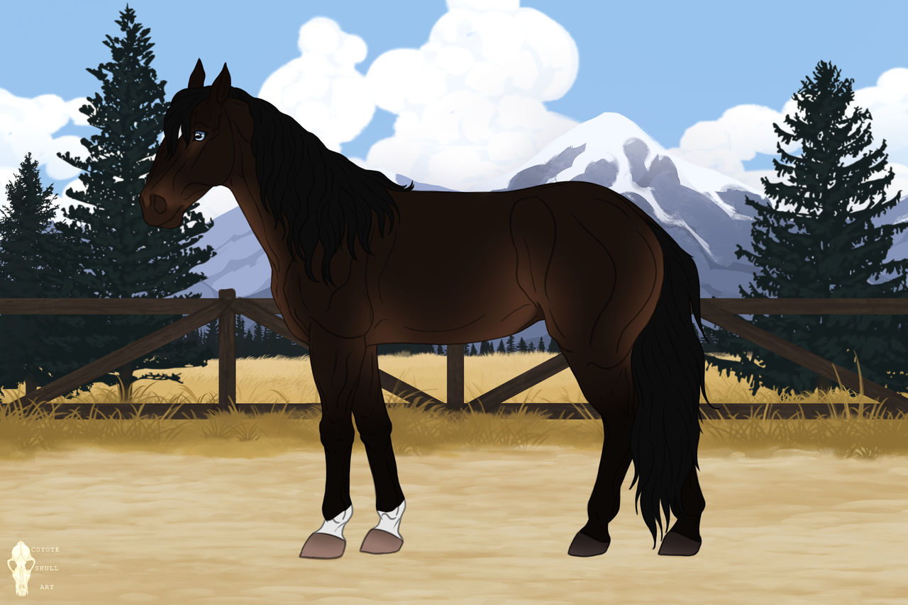 Admiralskaya Mare | Brodyaga