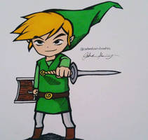 Toon Link