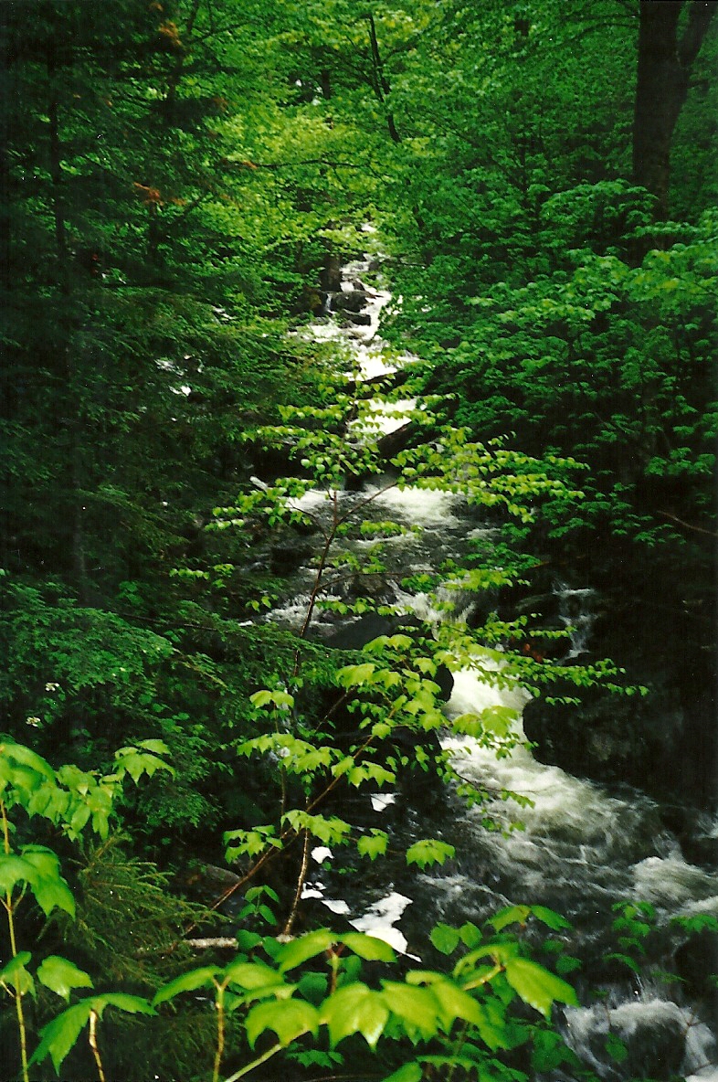 Mountain Stream