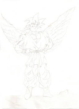 Angel Goku