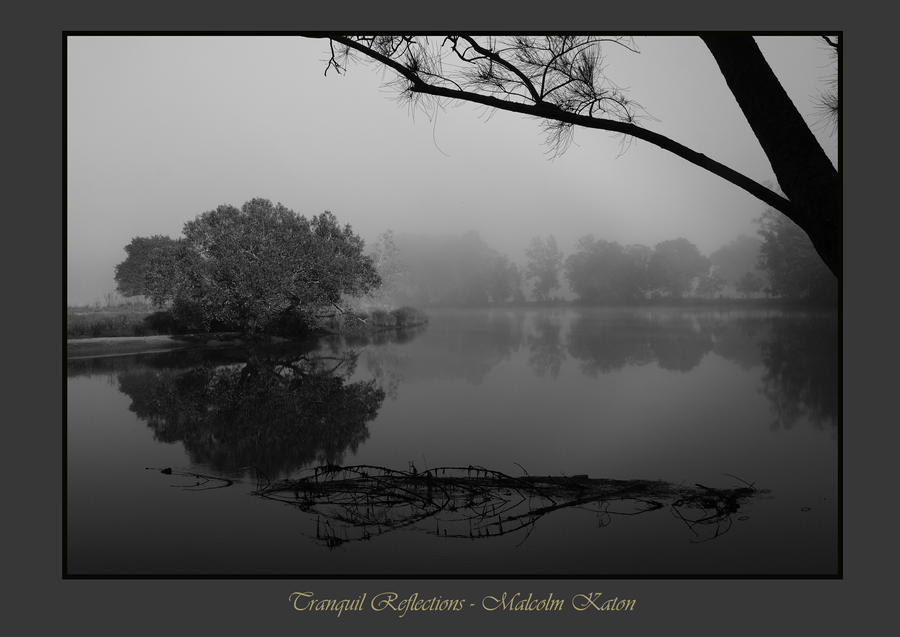 Tranquil Reflections B-W