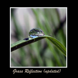 Grass Reflection Updated