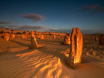 Silent Guards of Nambung