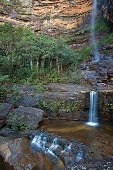 Caught in the Middle