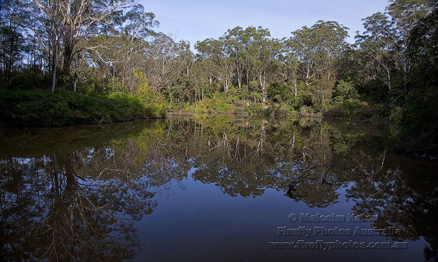 Lane Cove Reflections