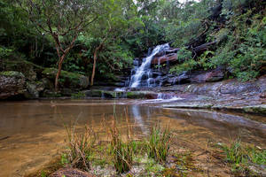 Reflections at Somersby