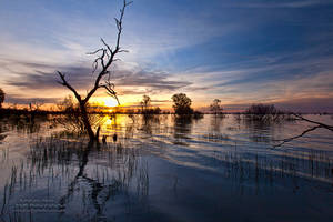 Menindee Lake