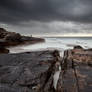 In Perspective at Maroubra