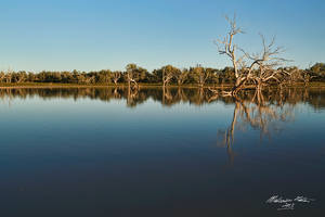 Pinaroo Sunrise