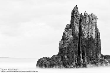 Shags on a Rock