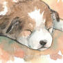 Newborn puppy ACEO