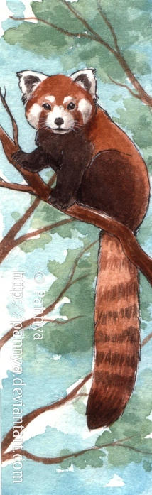 Cm Red Panda Bookmark By Pannya On Deviantart Cm Red Panda Bookmark By Pannya On Deviantart