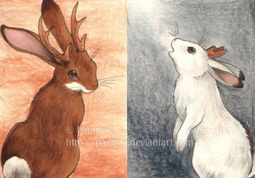 Jackalope ACEOs