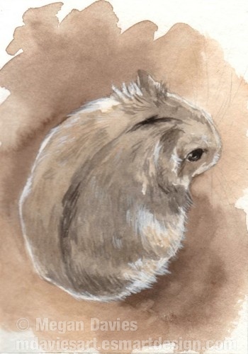 Russian Dwarf Hamster Aceo By Pannya On Deviantart