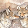 Coyote greeting ACEO