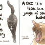 Cat Proverbs