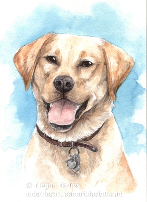 Pet portrait - Phoebe