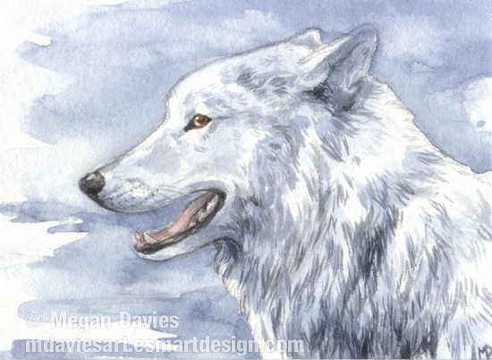 White Wolf ACEO