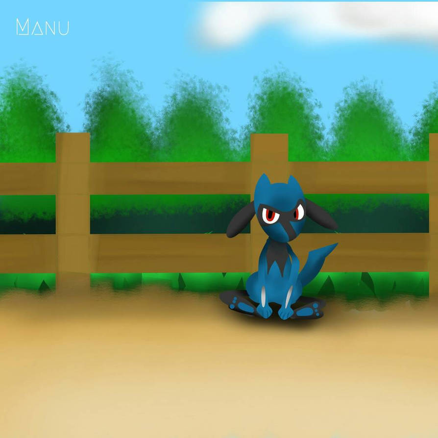 Riolu by VintergatanArt on DeviantArt