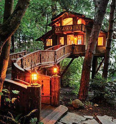 An epic tree house