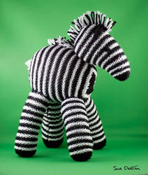 Mr Zebra