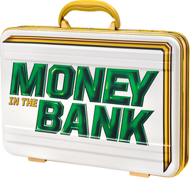 WWE MITB Women's Briefcase B02