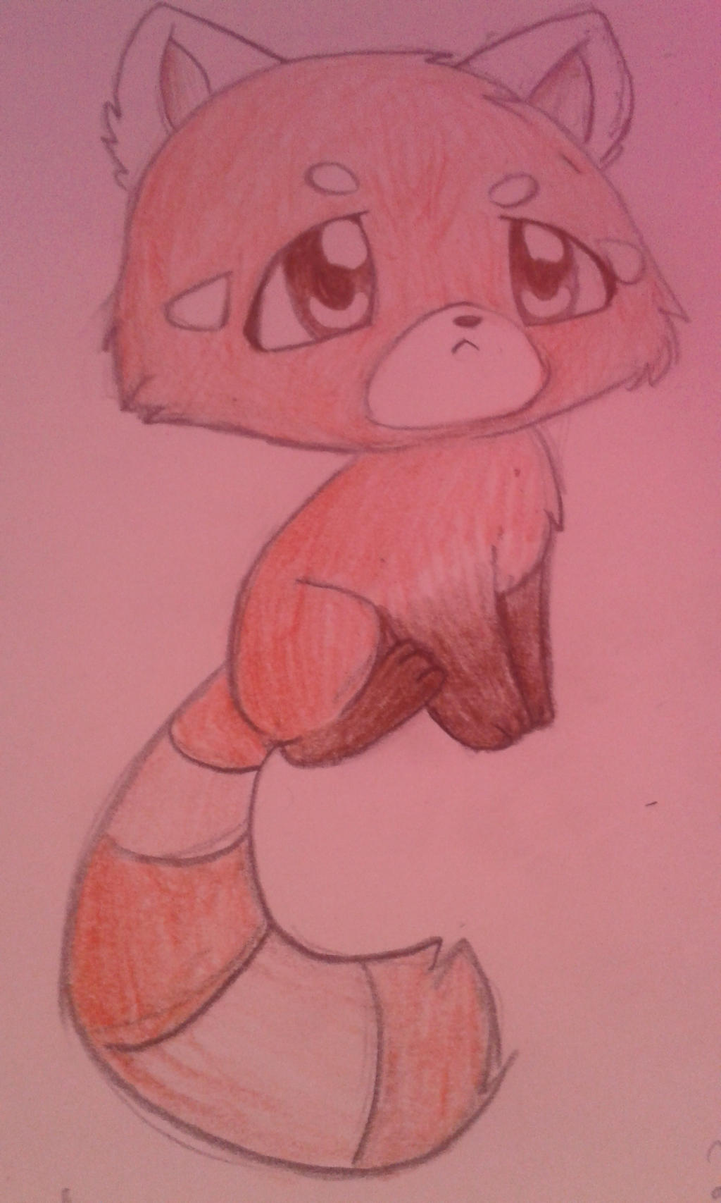 Red Panda