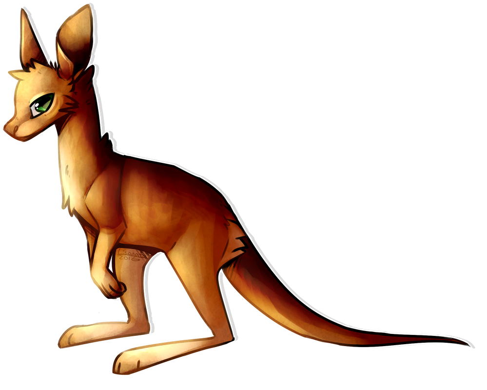 Kangaroo by Lisanata on DeviantArt