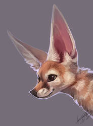Fennec